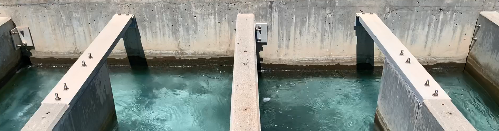 You should be excited about this opportunity because you will…